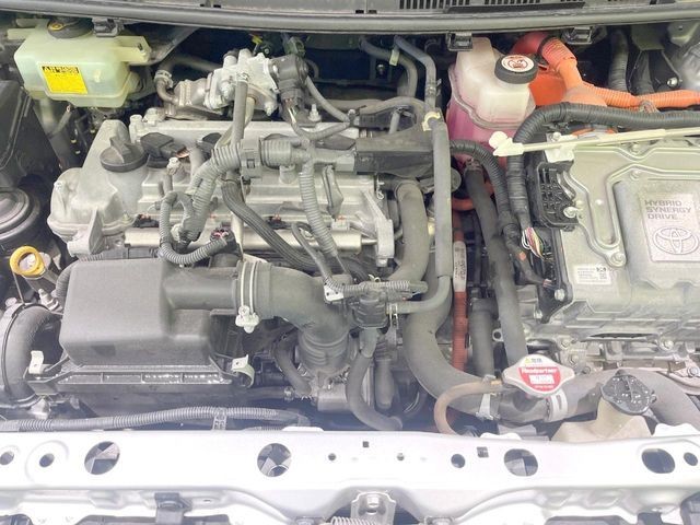 cc45d61c6339aa41c8016374cf589420.jpg