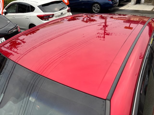 08dd8db3923ed551d33219e4c426626e.jpg