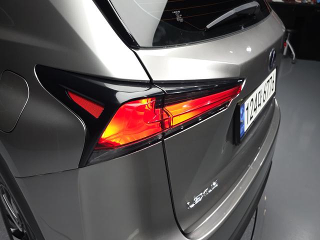 962058acf2fc60c45c198b5e6bfa92c7.jpeg