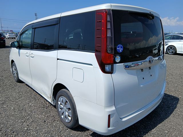 05.jpg