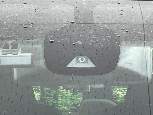 261e255cc7ca694382397ef9c58d3e2d.jpg