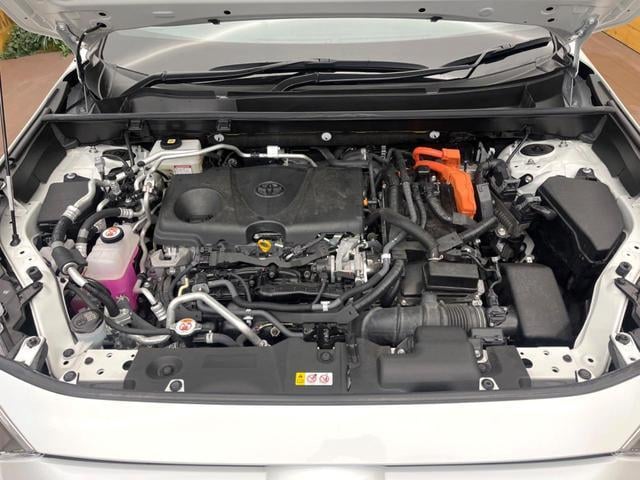 18374252_carP_l_18.jpg