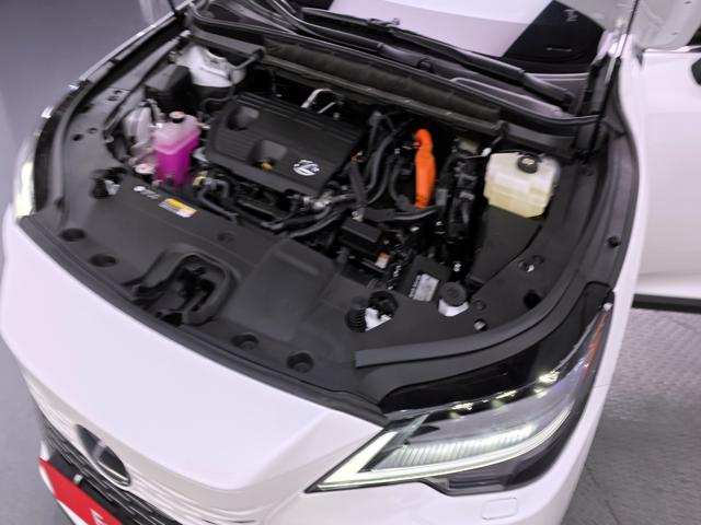 ece675960d1902dd2c7e2f02ff686df3.jpeg