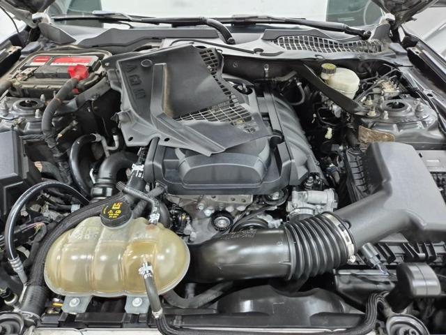 f1836765a93f38087453fafa7c43cad4.jpeg
