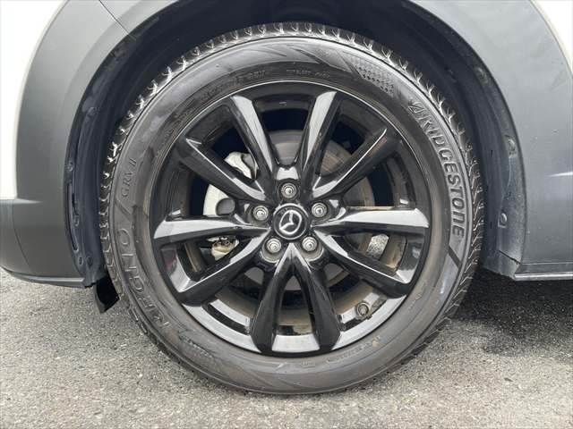 c24e85fbe74027c74f6654683d3d9331.jpg