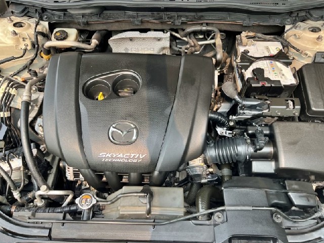 856ab421f6aa1cdbff07f8e8d492b9c3.jpeg