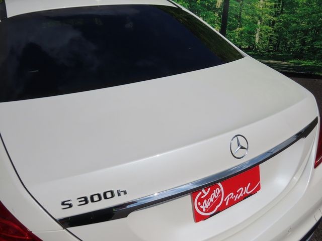346e1fb5791d691add69511702ab52d8.jpg