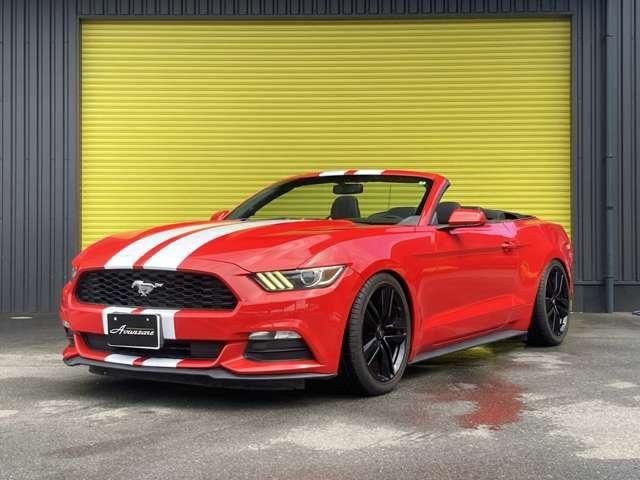 6576f9bfb6f974563c3e633f2863c501.jpg
