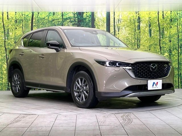 0667c9033f7d5fe283cc231d8ee38e7c.jpg