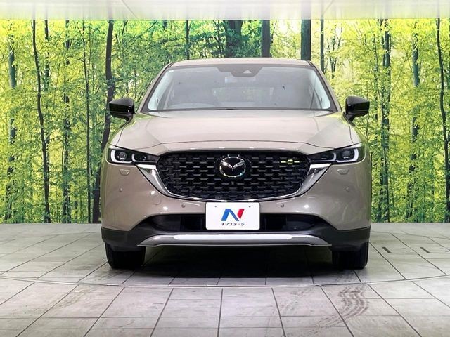 6700cbace3e55cf4de3c40e7651723d4.jpg
