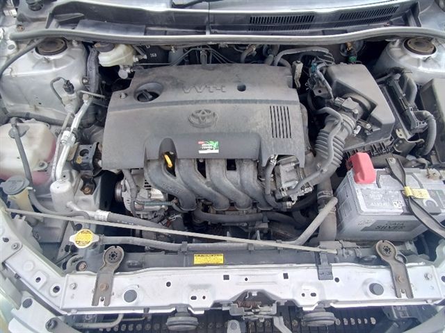 08.jpg