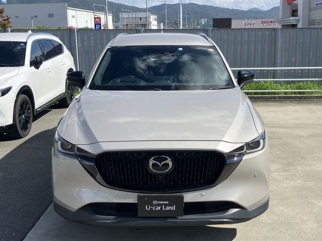 c3494e2db7ffc5aae01ccac3ad316bdb.jpg