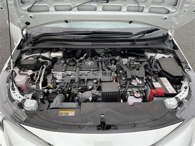 cfb47d01721adc4aa4eb4e58e70ab909.jpg