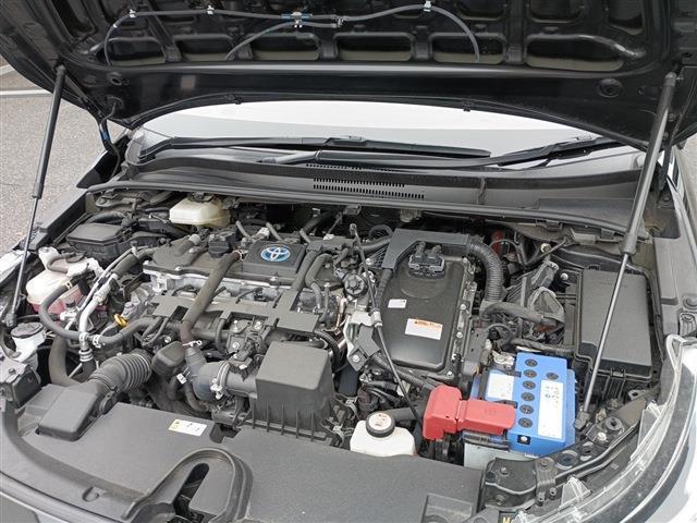 4e77041eb970dae7e4525d9dc9ca669f.jpg