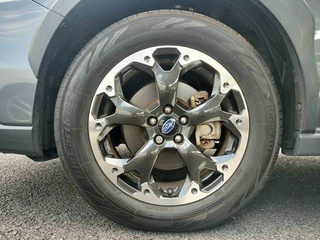 1657e8346d31557014657b69f46baaa8.jpg