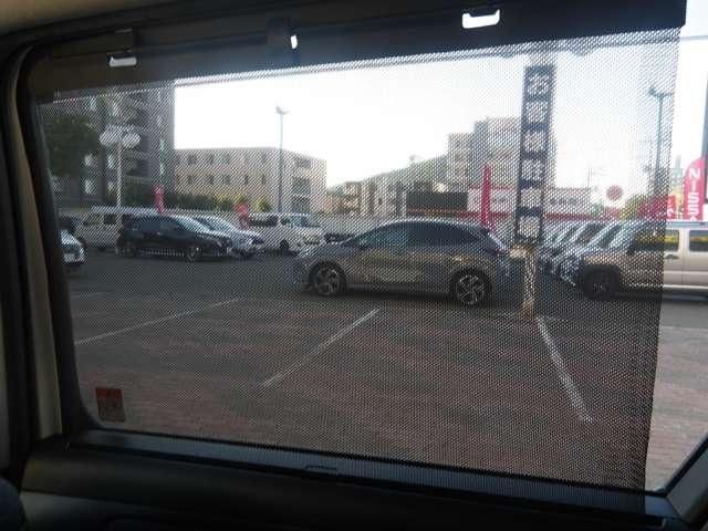9f40a71d2e2cf3d7484ff99b7731e25d.jpg