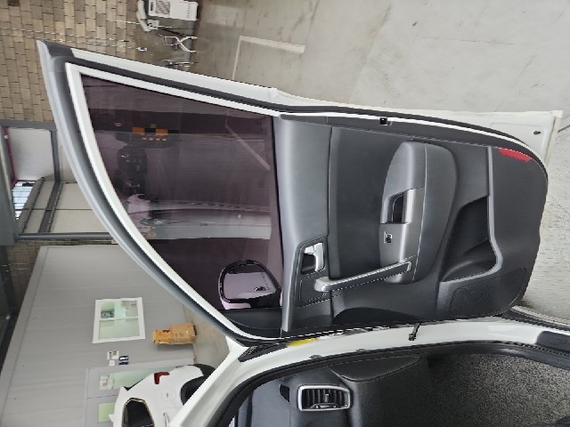 lotterental_150156188_FaVdG_9.jpg