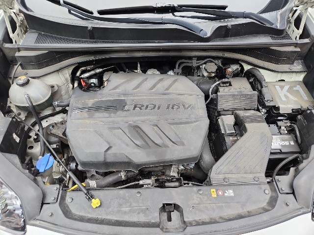 lotterental_15052158_teCNv_8.jpg