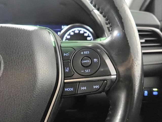0201999A30260706W00606.jpg