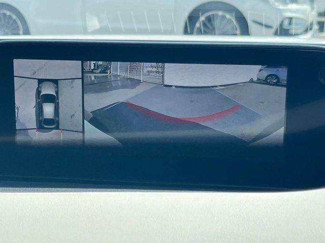 e838cc6feeae72f20053cf0aeaf38f66.jpg