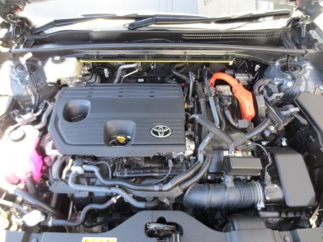 1080d5f43cc4830960eb138a88938715.jpg