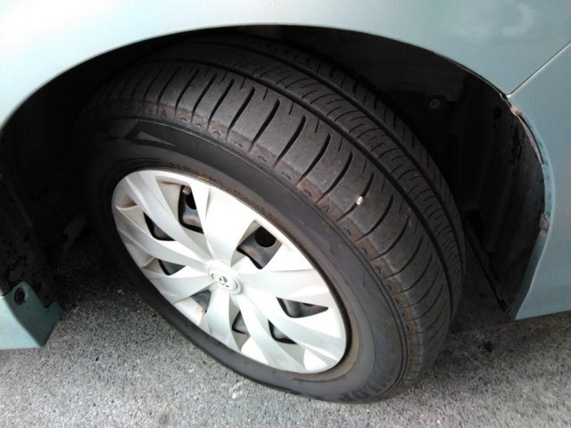 9e46a8486cf3ea6d609a64058a722f75.jpg