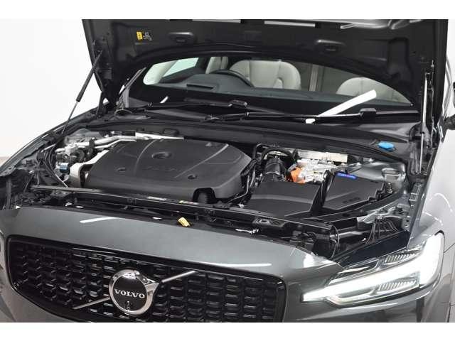 26497740_carP_l_9.jpg