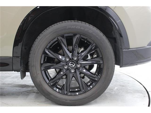 b11bb87f3508a61bc05dc509436af549.jpg