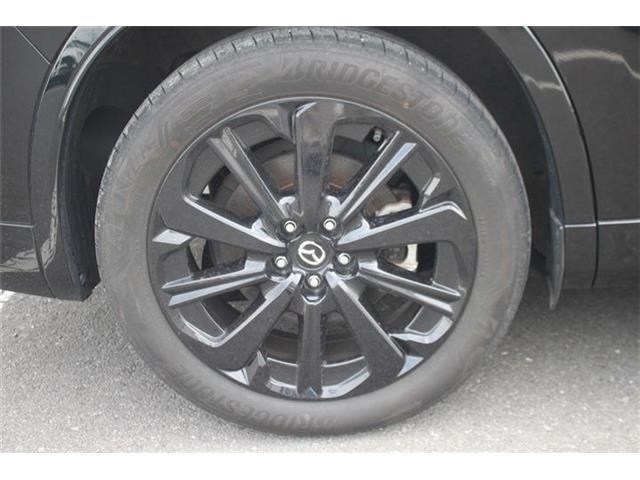 169a8e8be3c982a4aedc011cdbc9528e.jpg