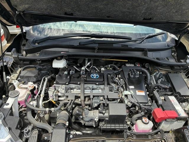 65a857510aa3574d47808e5ff597d397.jpg