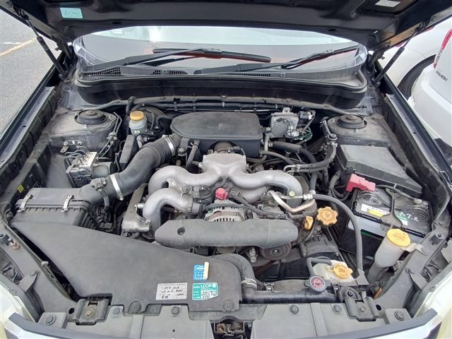 08.jpg