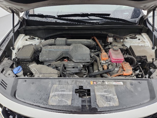 lotterental_215735683_0x8eN_7.jpg