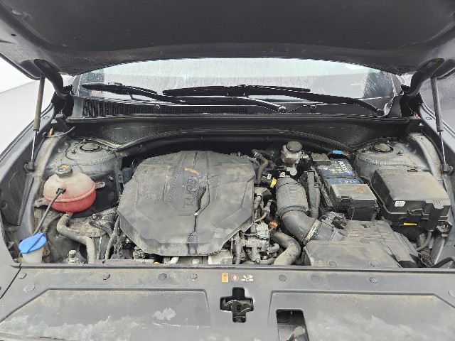 lotterental_095126369_FgCIS_8.jpg