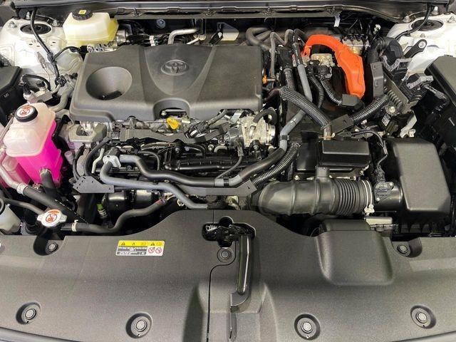 9869fca774ea4e85a7cb6190f2322183.jpg