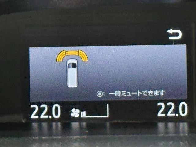 26831399_carP_l_7.jpg