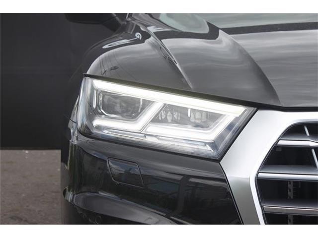 ff905e8c8cde8d45cbf0988861fde946.jpg