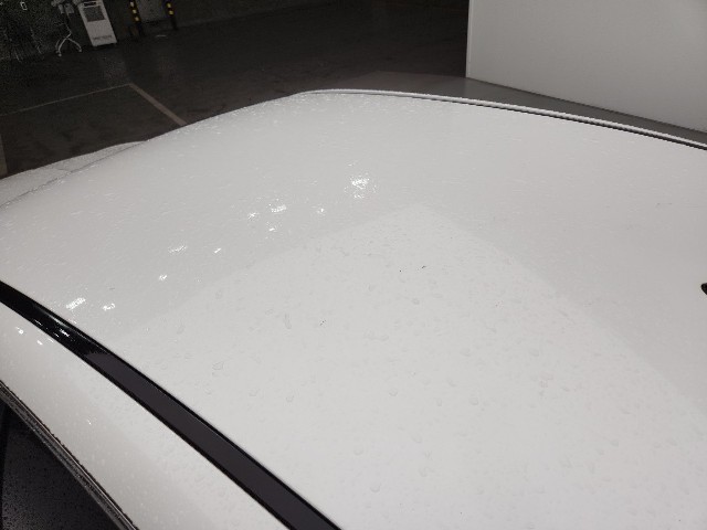 lotterental_214309580_GJ8W7_7.jpg