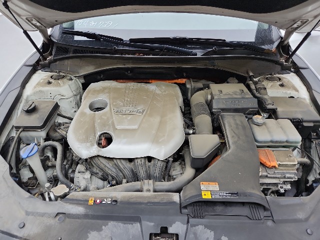 lotterental_095237750_RFncs_5.jpg