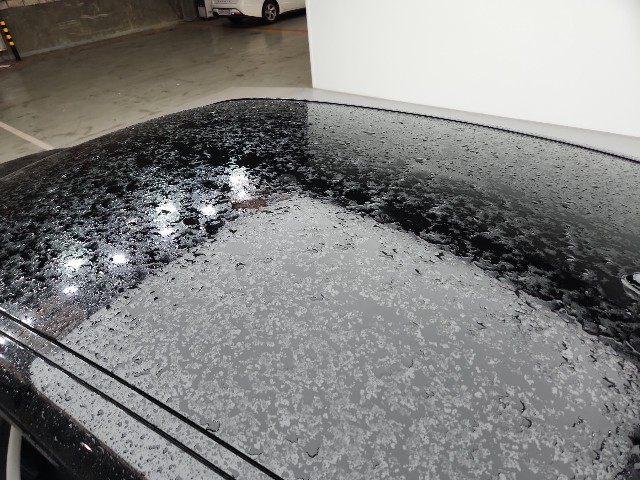 lotterental_210805465_GhX6t_6.jpg