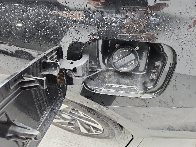lotterental_210947807_DiowS_3.jpg