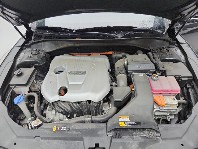 lotterental_210948113_bWC7i_9.jpg