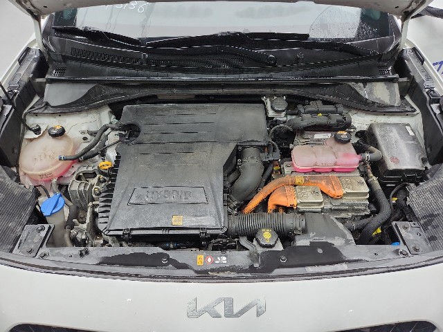 lotterental_10175114_w6a0C_8.jpg