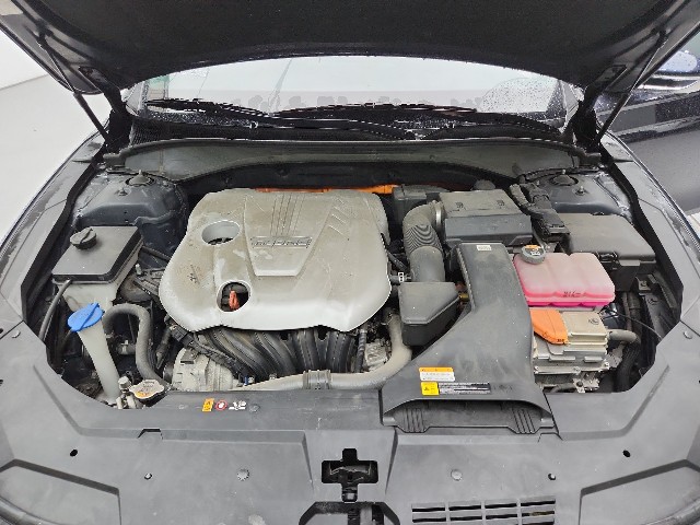 lotterental_100507989_OjU11_7.jpg