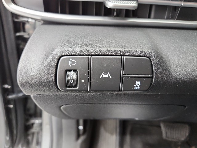 lotterental_101257794_QzRco_1.jpg