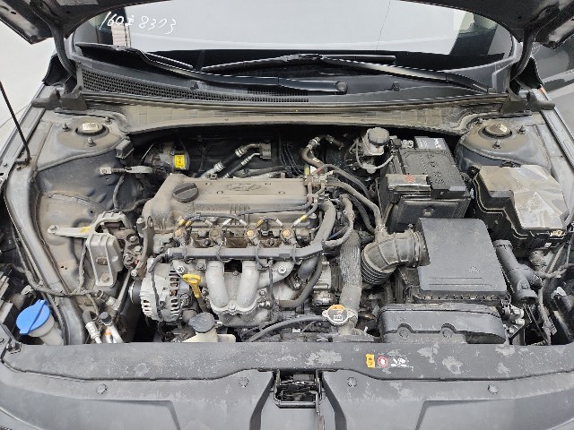 lotterental_101257939_aYLwU_4.jpg