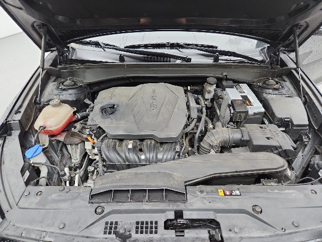 lotterental_163334226_ER1PQ_7.jpg