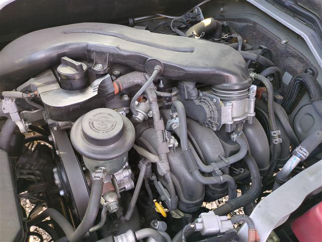 08.jpg