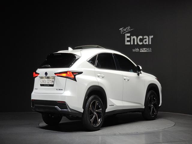 d2340c72730e0aecda4c008b655e764e.jpg