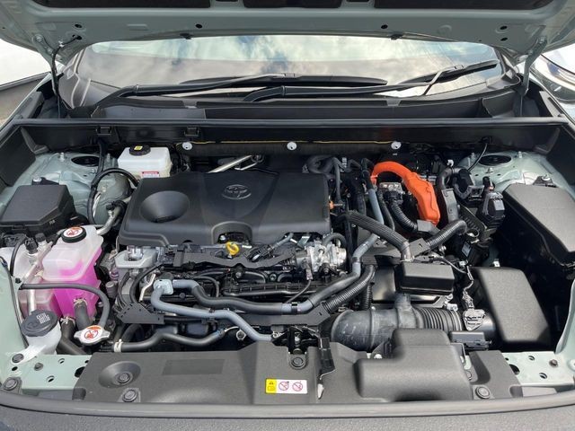 b7ce18e62ff42f0452004e19186cd011.jpg