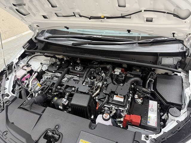 ef921084ff55cc4c4743f4fcb4793cf7.jpg